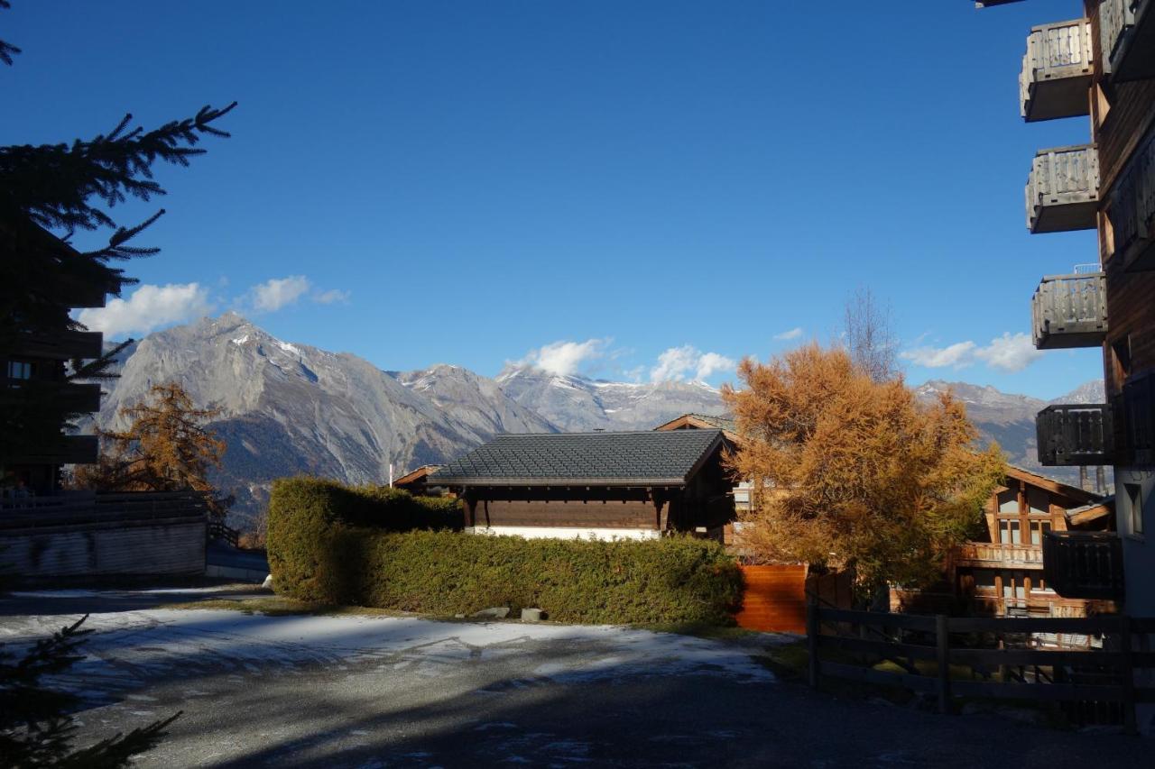Pracondu 1 Outdoor & Fun Appartement 1 Chambre Superieur Avec Balcon By Alpvision Residences Nendaz Luaran gambar