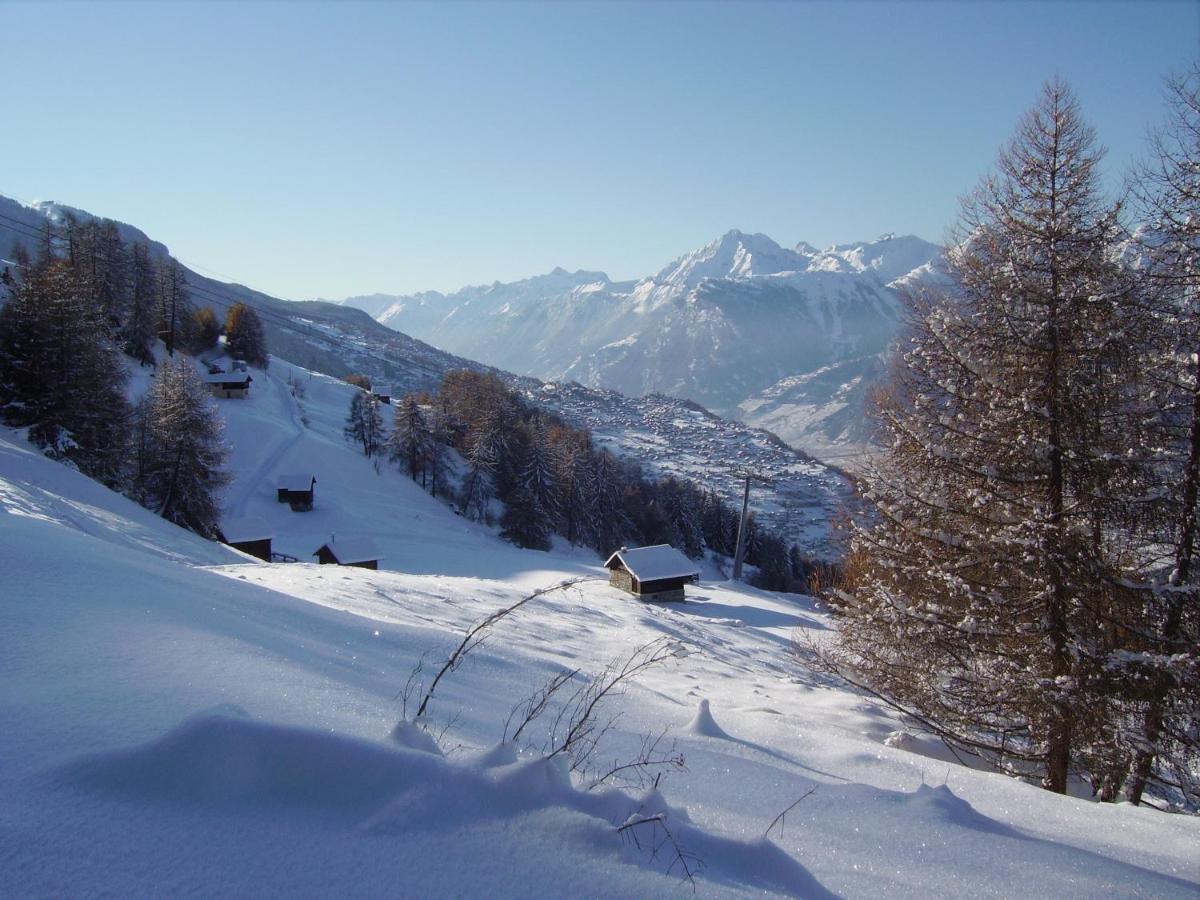 Pracondu 1 Outdoor & Fun Appartement 1 Chambre Superieur Avec Balcon By Alpvision Residences Nendaz Luaran gambar