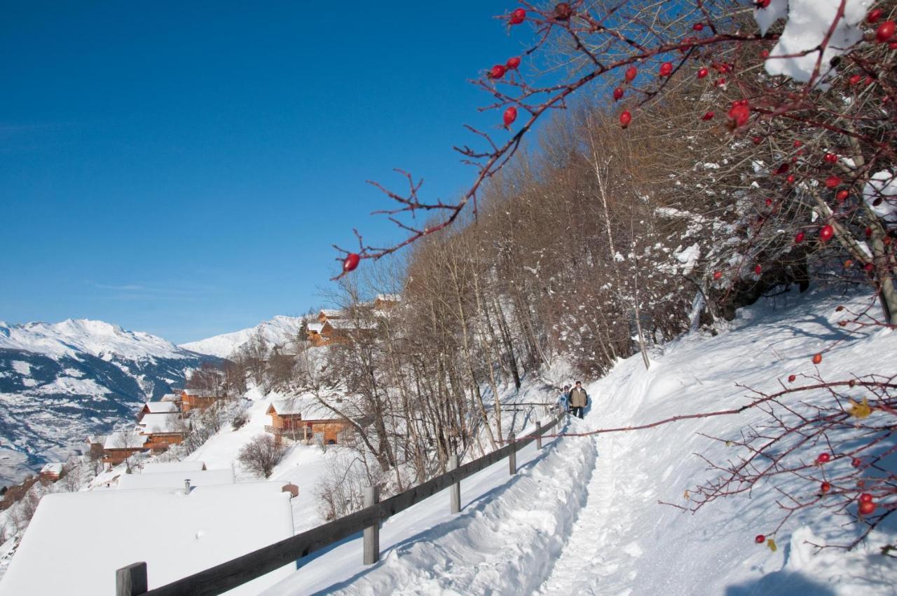 Pracondu 1 Outdoor & Fun Appartement 1 Chambre Superieur Avec Balcon By Alpvision Residences Nendaz Luaran gambar