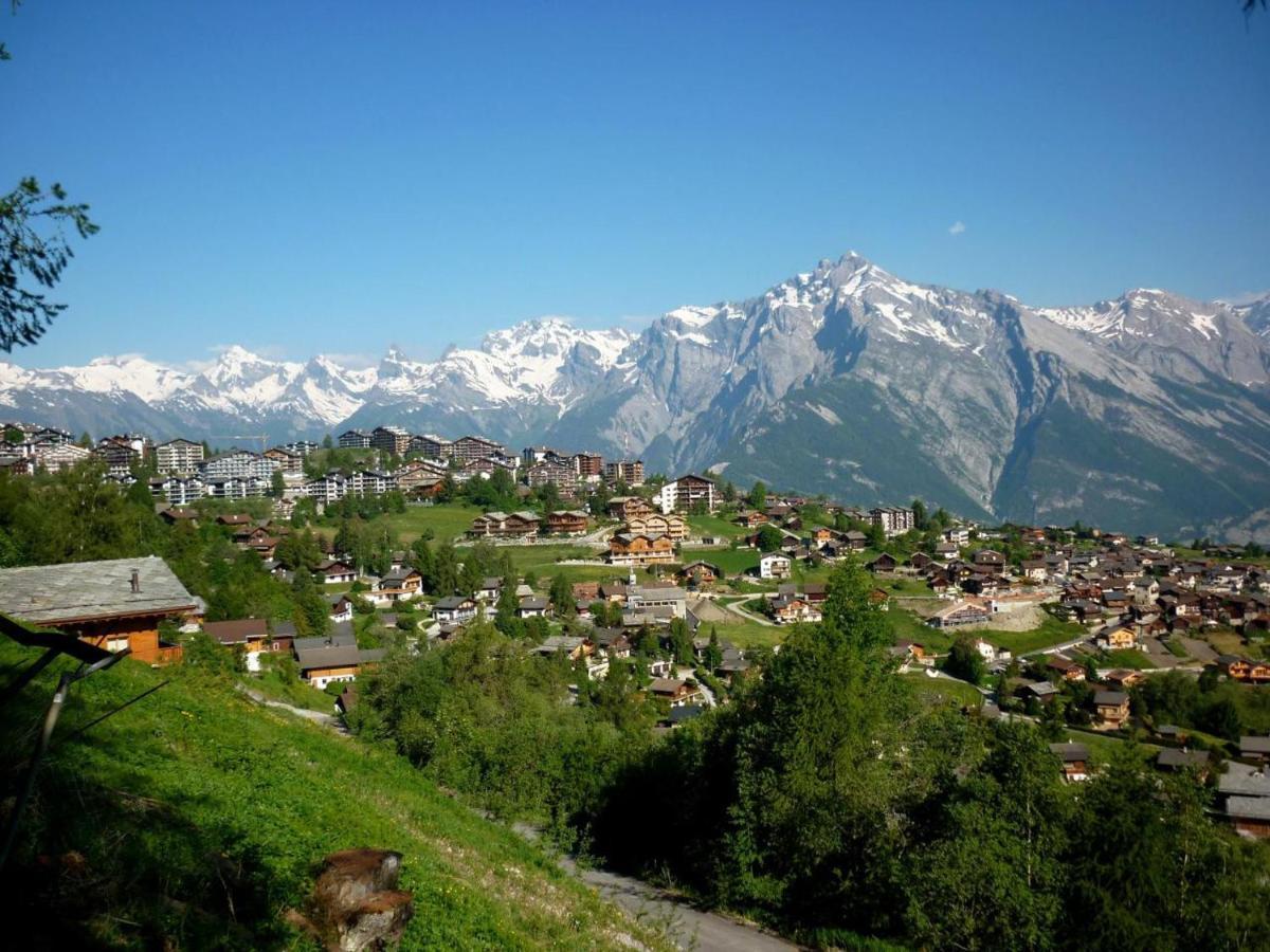Pracondu 1 Outdoor & Fun Appartement 1 Chambre Superieur Avec Balcon By Alpvision Residences Nendaz Luaran gambar