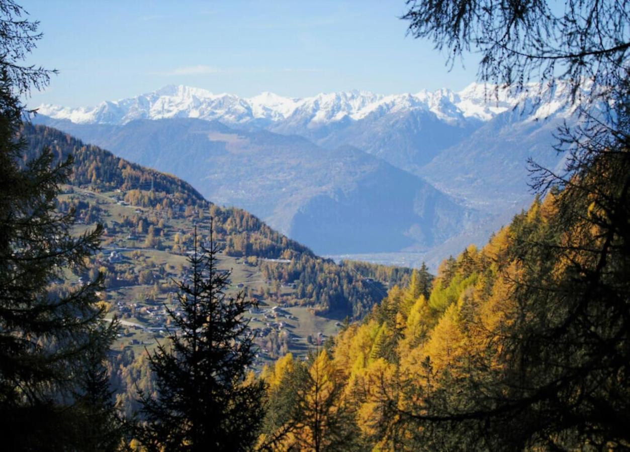 Pracondu 1 Outdoor & Fun Appartement 1 Chambre Superieur Avec Balcon By Alpvision Residences Nendaz Luaran gambar