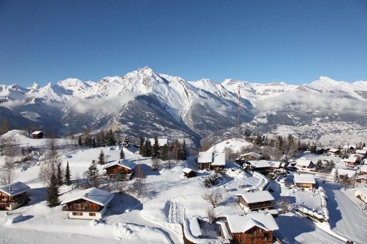 Pracondu 1 Outdoor & Fun Appartement 1 Chambre Superieur Avec Balcon By Alpvision Residences Nendaz Luaran gambar
